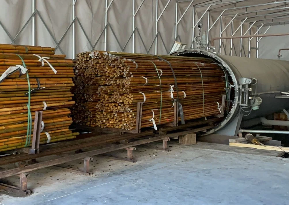 Bamboo poles loaded into pressure-treatment equipment