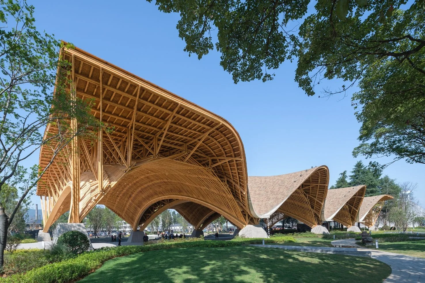 Curved bamboo roof structure in a landscaped public setting